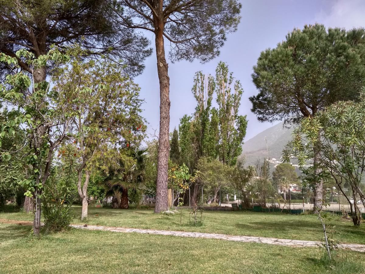Palmyra Beachfront Studios Nydri  Dış mekan fotoğraf